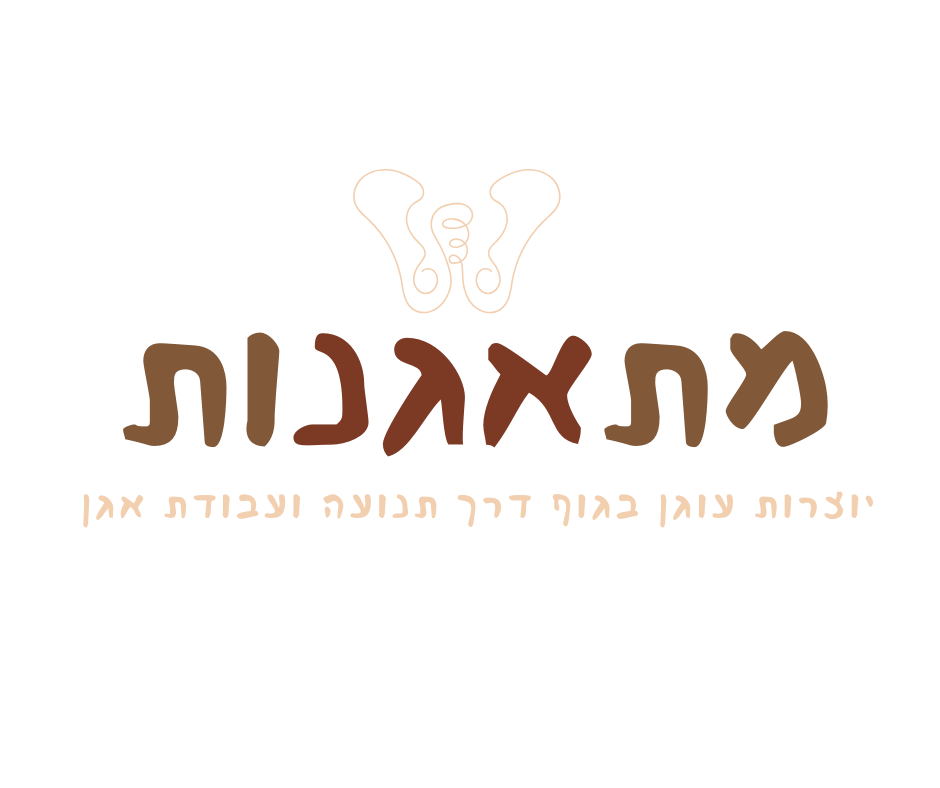 lior-shalom-movement.com
